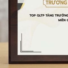 Bảng vinh danh tặng tập thể cá nhân phù hợp doanh nghiệp công nghệ, điện tử viễn thông