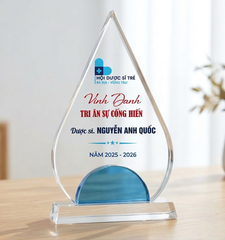 Kỷ niệm chương pha lê hình ngọn lửa tri ân cống hiến cho hoạt động phong trào xã hội
