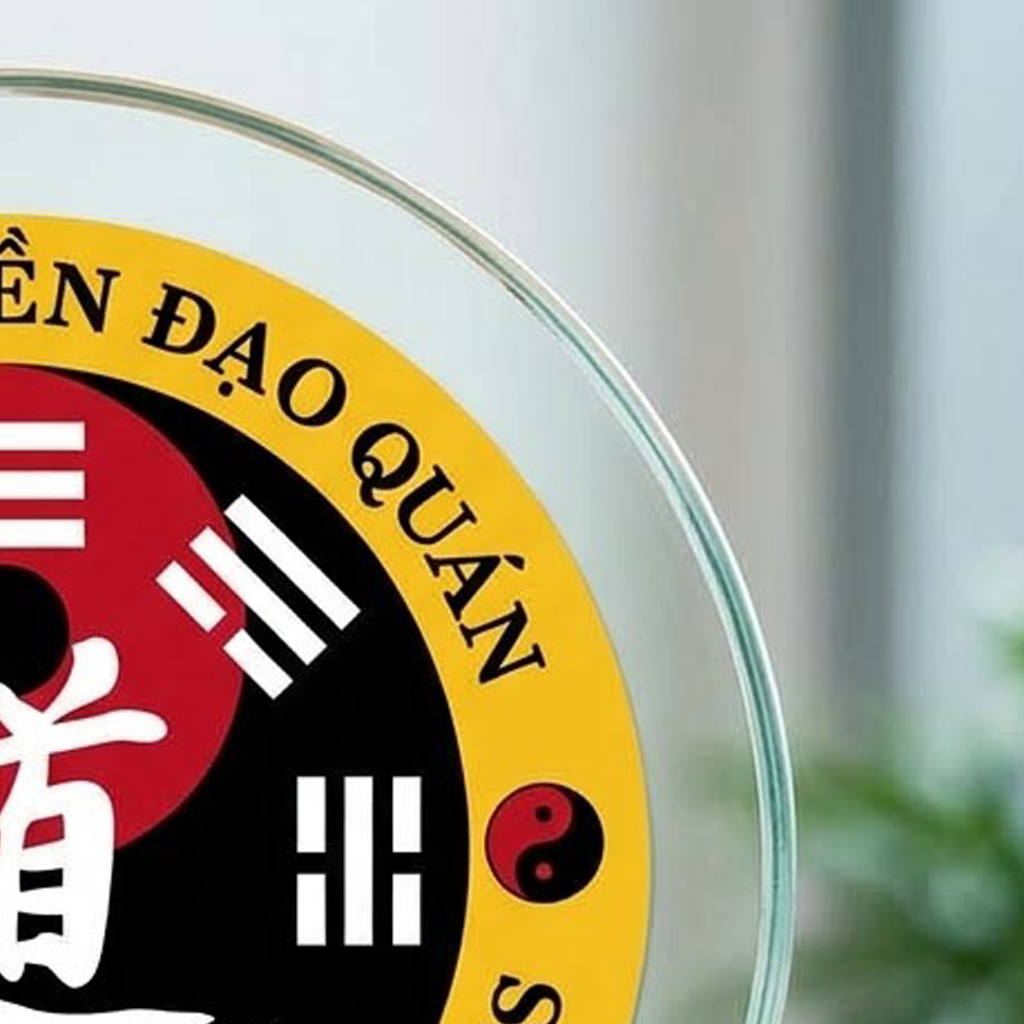 Kỷ niệm chương làm quà tặng lưu niệm vinh danh khen thưởng trong những hoạt động võ thuật thể dục thể thao