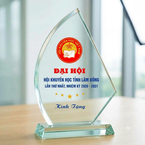 Kỷ niệm chương hình cánh buồm làm quà tặng lưu niệm vinh danh khen thưởng trong những hoạt động giáo dục