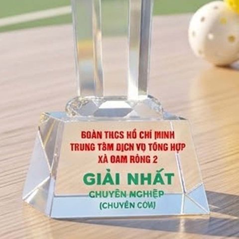 Cúp Pickleball pha lê khối cao cấp trao giải nhất nhì ba ở những giải pickleball