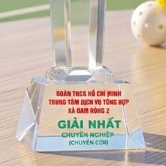 Cúp Pickleball pha lê khối cao cấp trao giải nhất nhì ba ở những giải pickleball