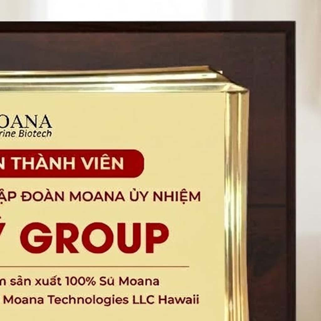 Bảng chứng nhận doanh nghiệp thành viên được ủy nhiệm sản xuất hàng hóa