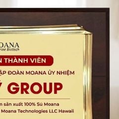 Bảng chứng nhận doanh nghiệp thành viên được ủy nhiệm sản xuất hàng hóa