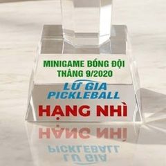 Cúp Pickleball pha lê kim cương trao giải nhất nhì ba pickleball có 3 kích thước