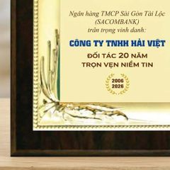 Bảng tri ân vinh danh đối tác đồng hành phù hợp trong hoạt động ngân hàng tài chính dịch vụ kinh doanh