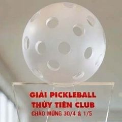 Cúp Pickleball pha lê khối trao giải nhất nhì ba phù hợp CLB Pickleball tổ chức giải