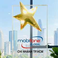Cúp pha lê khối ngôi sao cao cấp phù hợp vinh danh tập thể cá nhân nhân viên tiêu biểu của năm cho doanh nghiệp