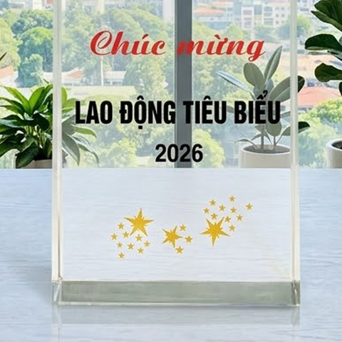 Cúp pha lê khối ngôi sao cao cấp phù hợp vinh danh tập thể cá nhân nhân viên tiêu biểu của năm cho doanh nghiệp
