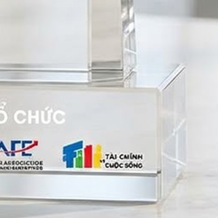 Cúp pha lê khối cao cấp phù hợp trao giải thưởng ở lĩnh vực tài chính chứng khoán ngân hàng