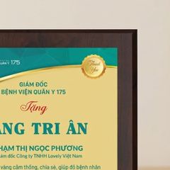 Bảng tri ân tấm lòng vàng chia sẻ giúp đỡ bệnh nhân có hoàn cảnh khó khăn trong những hoạt động xã hội