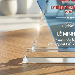 Kỷ niệm chương pha lê lưu niệm trao tặng cho những hoạt động của doanh nghiệp phong trào xã hội