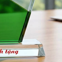 Kỷ niệm chương lưu niệm kỷ niệm 20 năm thành lập doanh nghiệp