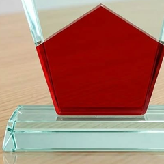 Kỷ niệm chương khen thưởng vinh danh nhân viên xuất sắc của doanh nghiệp