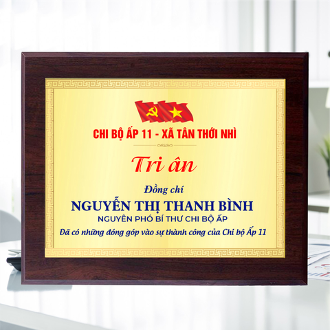 Kỷ niệm chương gỗ biểu trưng tri ân cho hoạt động xã hội