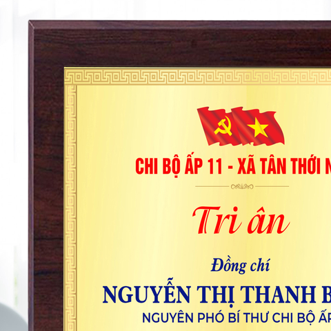 Kỷ niệm chương gỗ biểu trưng tri ân cho hoạt động xã hội