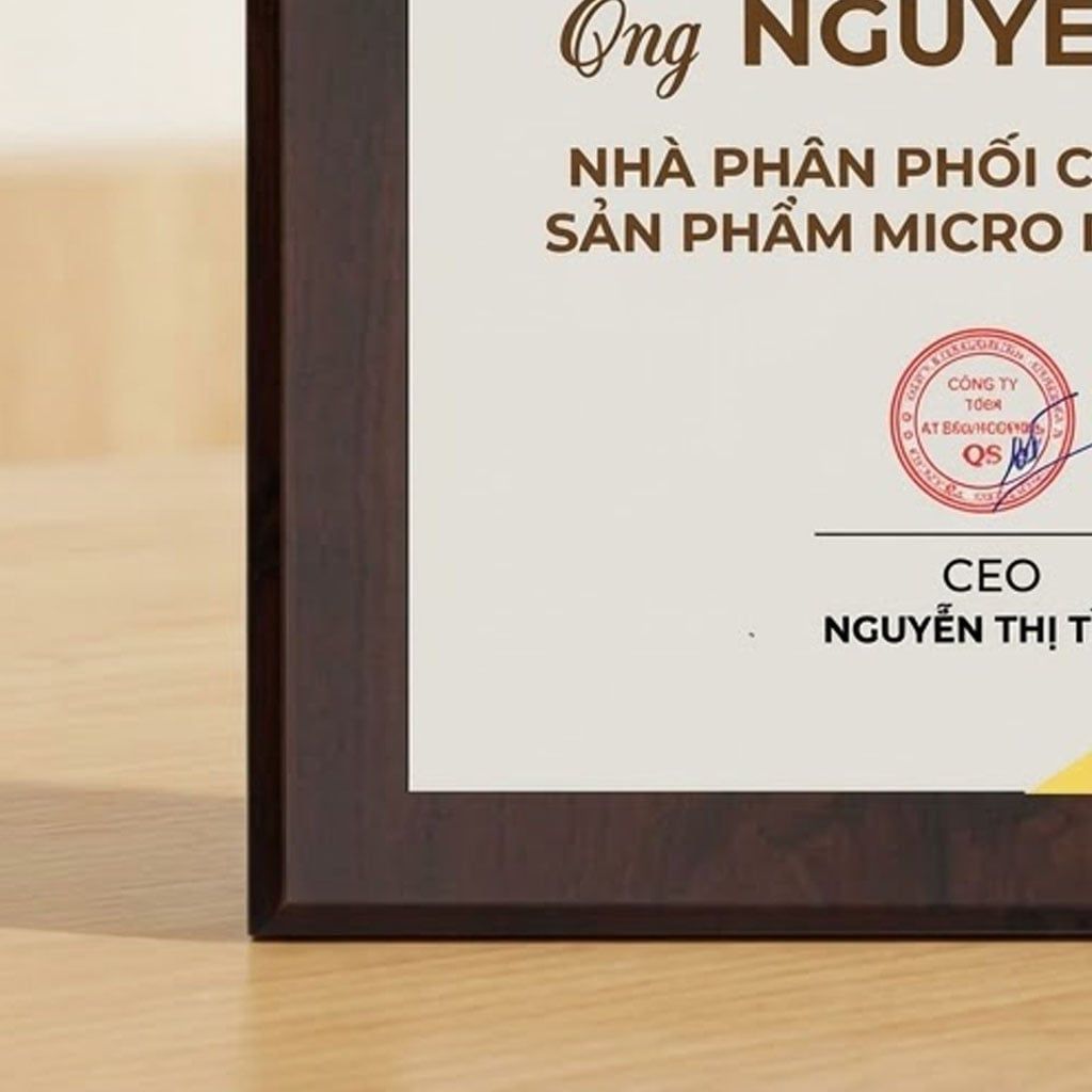Bảng chứng nhận nhà phân phối chính thức ngành hàng điện tử viễn thông