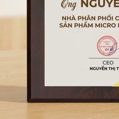 Bảng chứng nhận nhà phân phối chính thức ngành hàng điện tử viễn thông