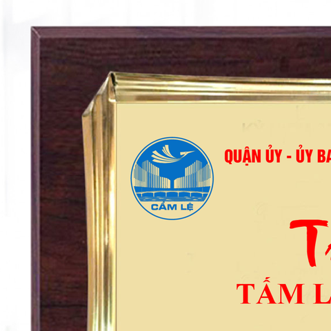 Bảng biểu trưng tri ân tấm lòng vàng cho những hoạt động tình nguyện xã hội
