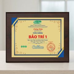 Bảng chứng nhận cửa hàng phân phối chính hãng ngành hàng sữa thực phẩm