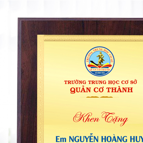Bảng biểu dương vinh danh học sinh giỏi cấp tỉnh
