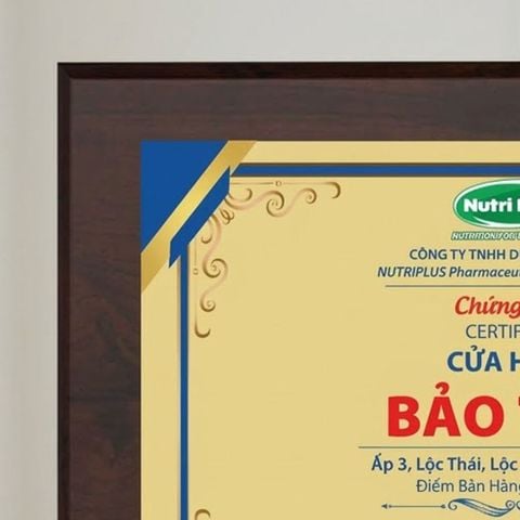 Bảng chứng nhận cửa hàng phân phối chính hãng ngành hàng sữa thực phẩm