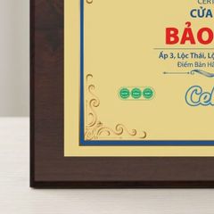 Bảng chứng nhận cửa hàng phân phối chính hãng ngành hàng sữa thực phẩm