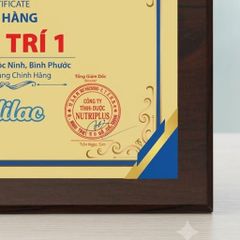 Bảng chứng nhận cửa hàng phân phối chính hãng ngành hàng sữa thực phẩm