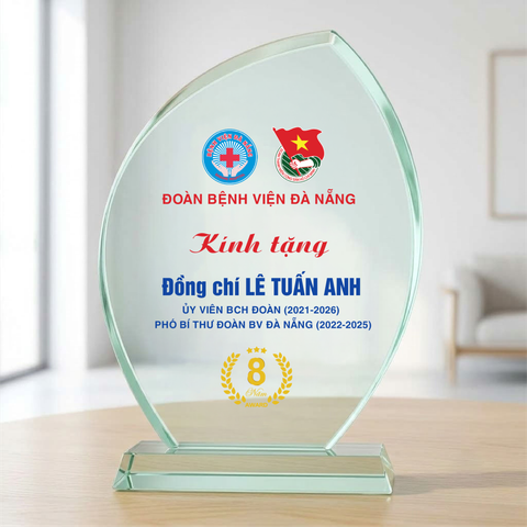 Kỷ niệm chương lưu niệm khen thưởng cá nhân tập thể cơ quan doàn thể