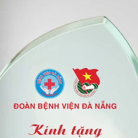 Kỷ niệm chương lưu niệm khen thưởng cá nhân tập thể cơ quan doàn thể