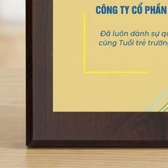 Bảng tri ân tấm lòng vàng doanh nghiệp đã đồng hành trong những hoạt động xã hội