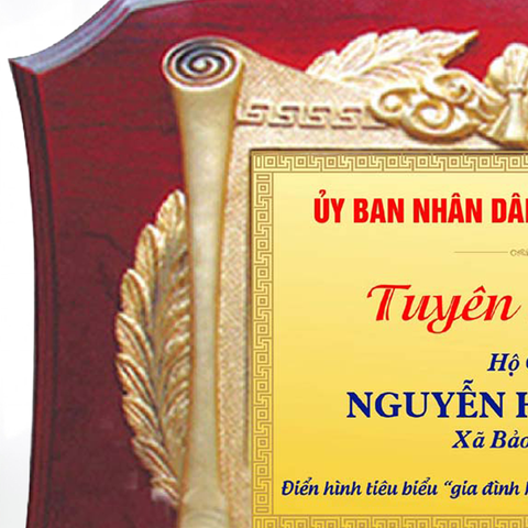 Kỷ niệm chương gỗ đồng tặng đại biểu hay tặng cho hoạt động xã hội