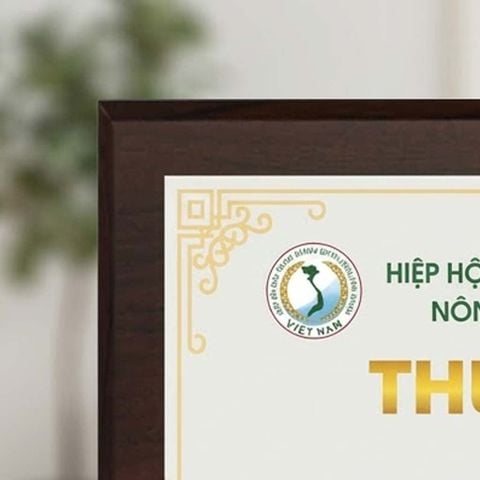 Bảng tri ân cảm ơn cá nhân doanh nghiệp nhà tài trợ trong những hoạt động xã hội