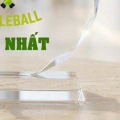 Cúp Pickleball pha lê dùng trao giải hay lưu niệm ở những giải thể thao