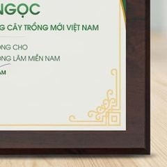 Bảng tri ân cảm ơn cá nhân doanh nghiệp nhà tài trợ trong những hoạt động xã hội