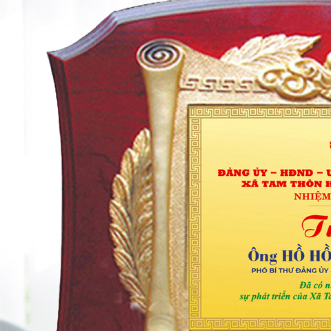 Kỷ niệm chương gỗ phù hợp vinh danh tri ân cho nhiều hoạt động xã hội