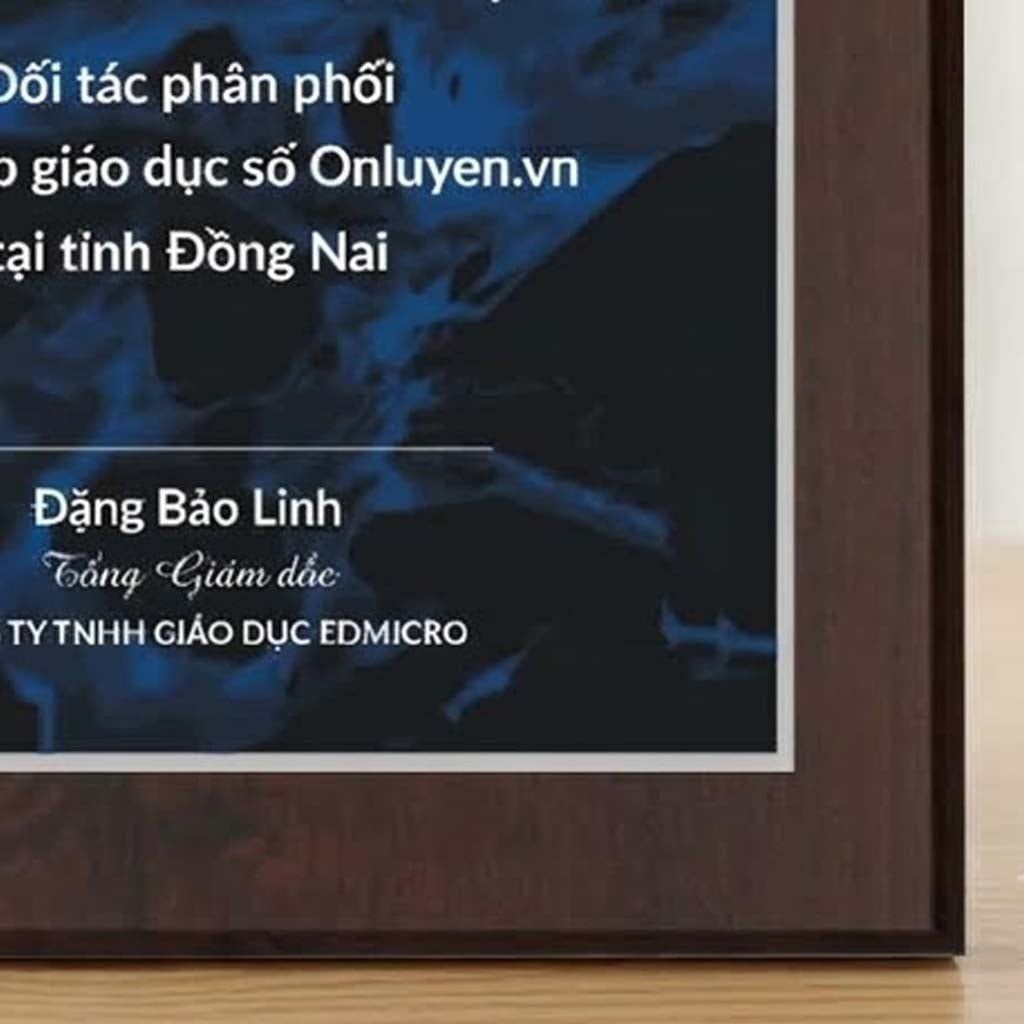 Bảng chứng nhận đối tác phân phối sản phẩm dịch vụ phần mềm giáo dục