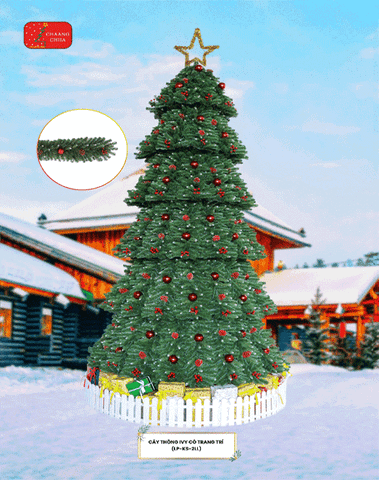 Cây Thông Đầu Tròn 2 Loại Lá Có Trang Trí