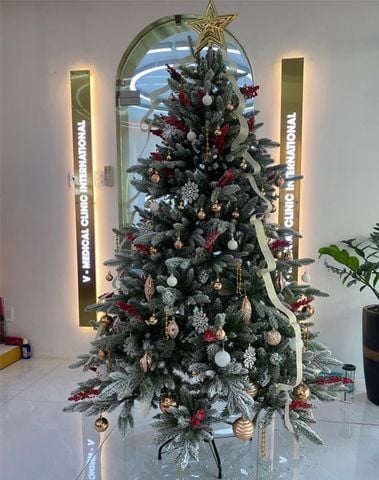 Cây Thông PE 3 Loại Lá Phủ Tuyết Gắn Trái Đỏ - Cây Tự Động