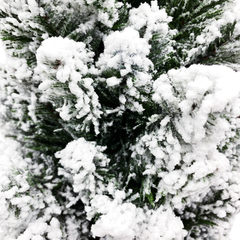 Cây Thông Mini Đầu Nhọn, Phủ Tuyết 60cm