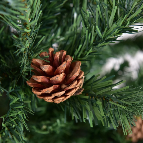 Cây Thông Mini Gắn Trái Thông 38cm