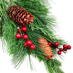 Nhánh Lá Gắn Trái Thông Và Trái Đỏ