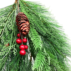 Nhánh Lá Gắn Trái Thông Và Trái Đỏ