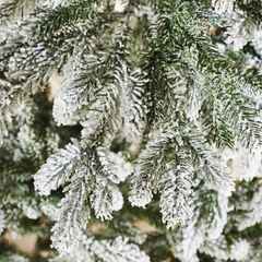 Cây Thông PE Phủ Tuyết (1m5 - 3m)