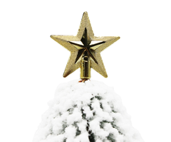 Cây Thông Mini Lá Cước Phủ Tuyết