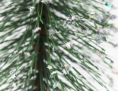 Cây Thông Mini Lá Cước Lăn Kim Tuyến 30cm