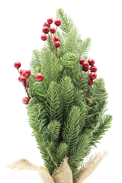 Cây Thông Mini Lá PE Gắn Trái Đỏ