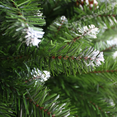 Cây Thông Đầu Nhọn Phun Sơn Gắn Trái Thông