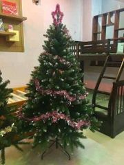 Cây Thông Đầu Nhọn Phun Sơn Gắn Trái Thông