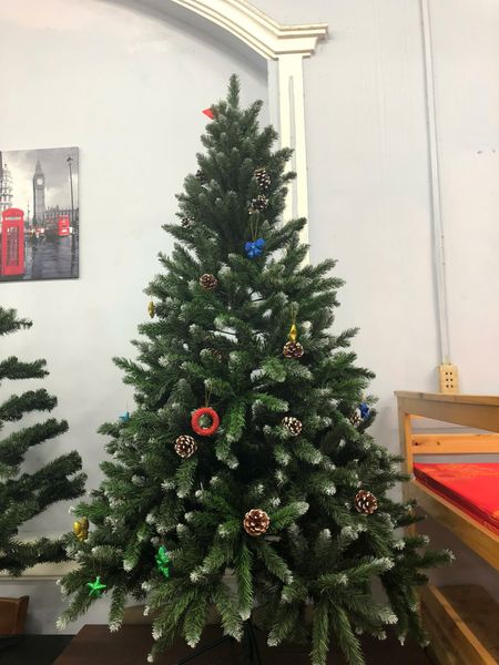 Cây Thông Đầu Nhọn Phun Sơn Gắn Trái Thông